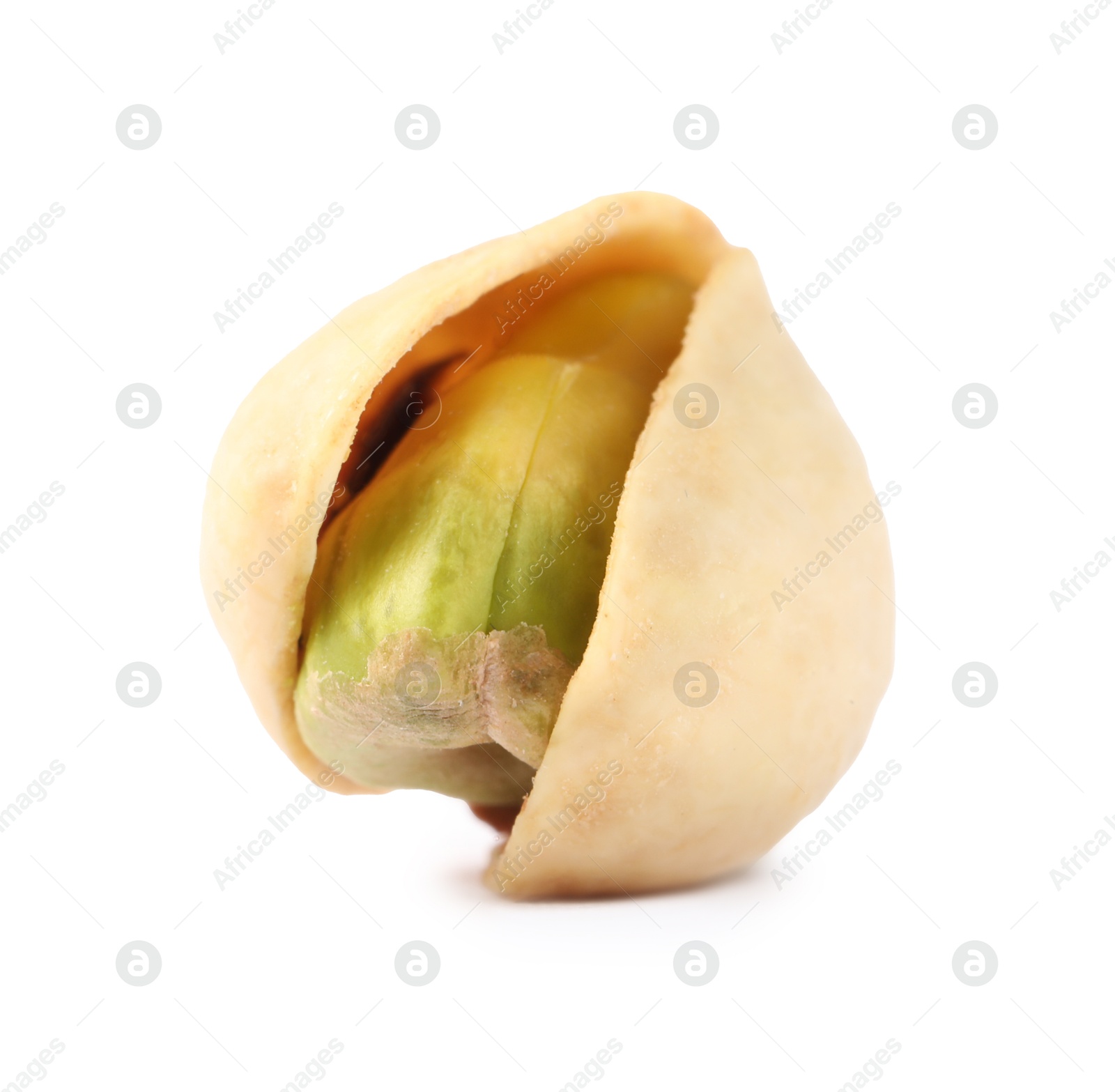 Photo of One tasty pistachio nut isolated on white