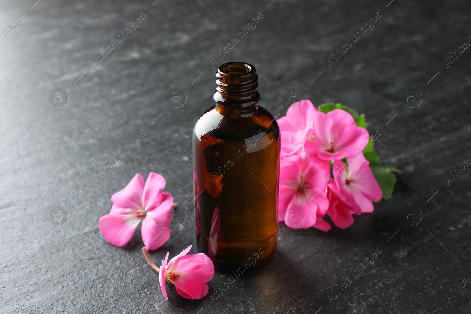 Photo of Bottle of geranium essential oil and beautiful flowers on black table, closeup