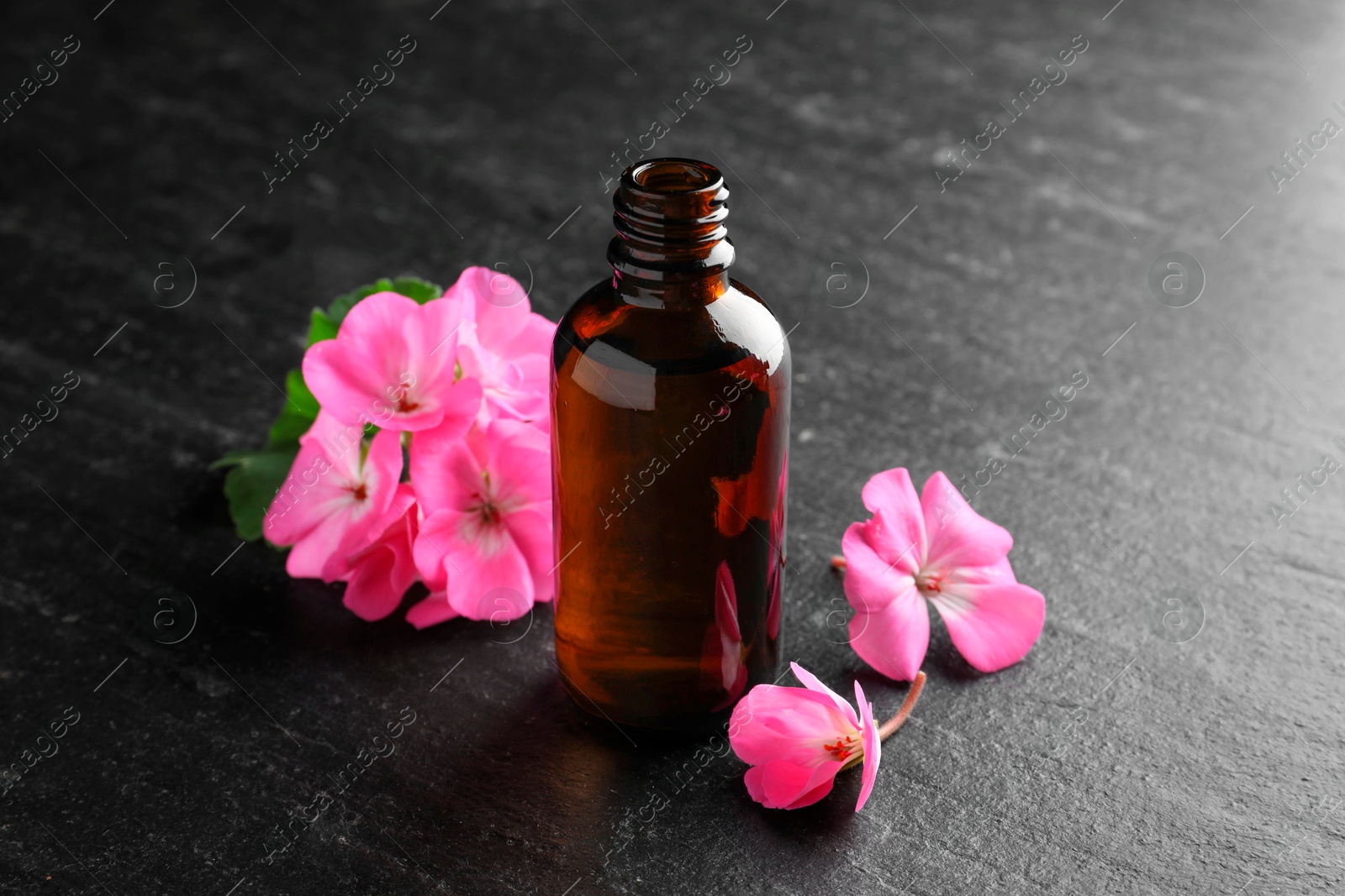 Photo of Bottle of geranium essential oil and beautiful flowers on black table, closeup