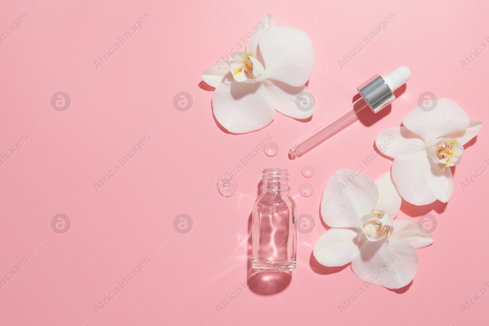 Photo of Beautiful orchid flowers and essential oil in water on pink background, flat lay. Space for text