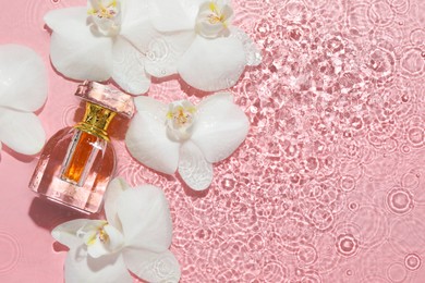 Beautiful orchid flowers and bottle of perfume in water on pink background, flat lay. Space for text