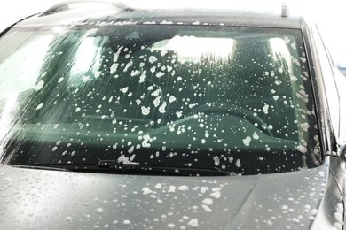 Photo of Auto covered with cleaning foam at car wash, closeup