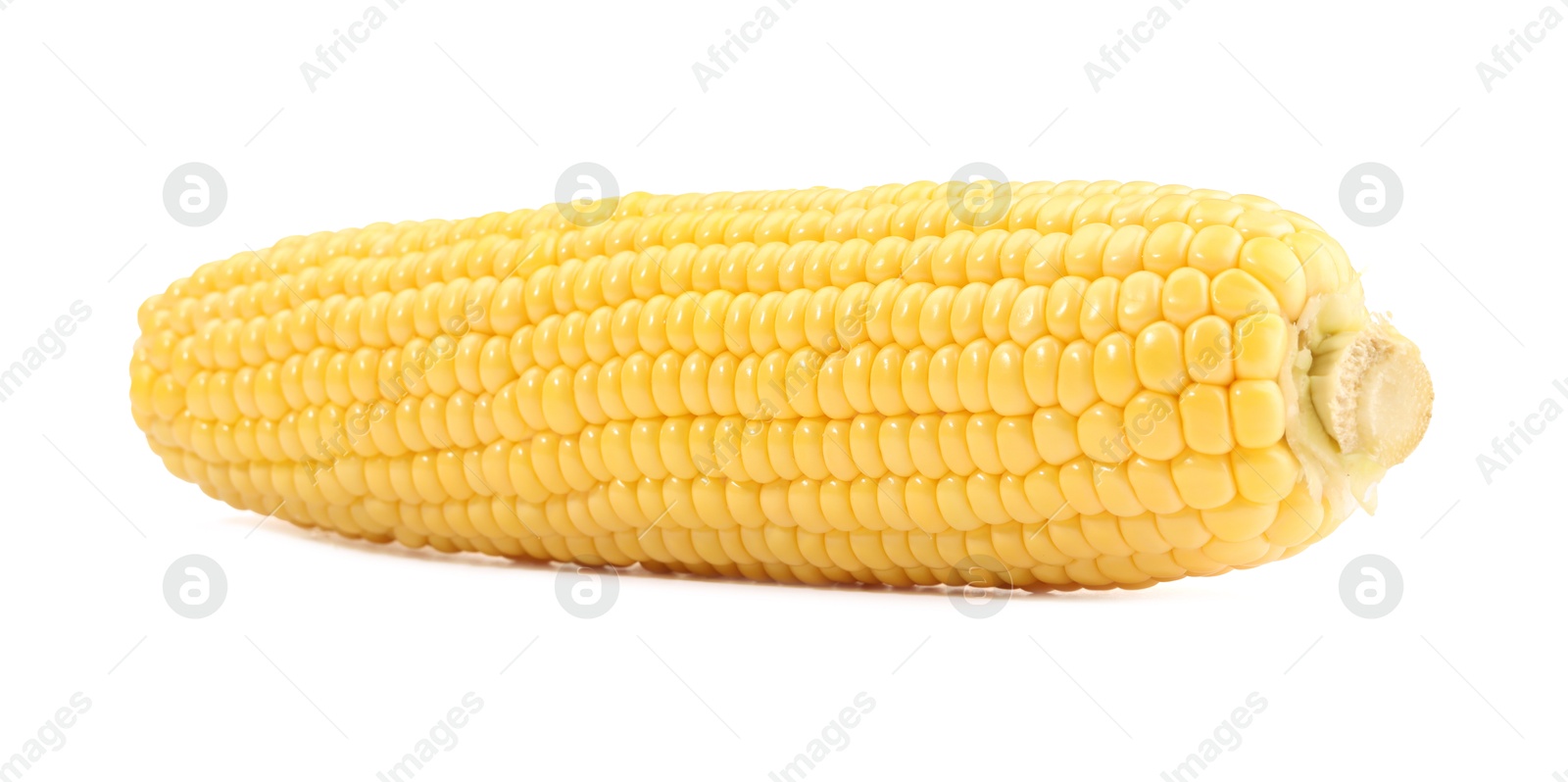 Photo of One fresh ripe corncob isolated on white