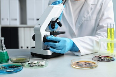 Photo of Scientist working with microscope and petri dishes at light table, closeup