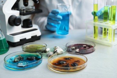 Photo of Petri dishes with samples on light table and scientist working in laboratory, selective focus