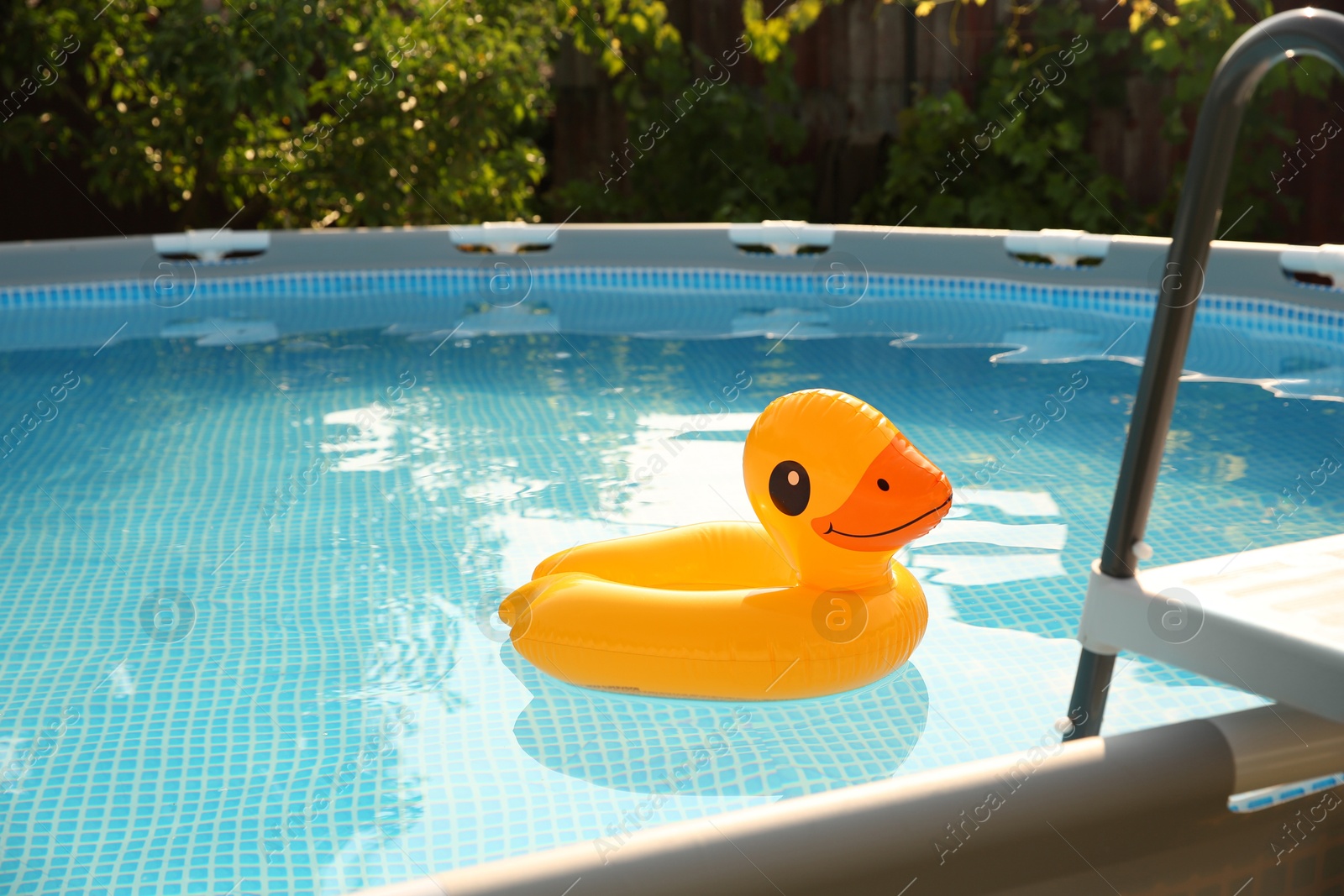 Photo of Inflatable duck shaped ring on water in above ground swimming pool outdoors