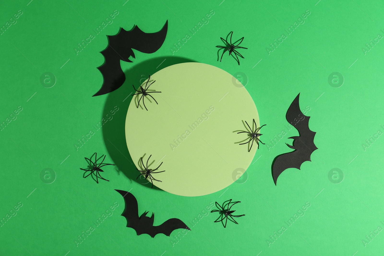 Photo of Halloween celebration. Podium, decorative bats and spiders on green background, flat lay. Space for text