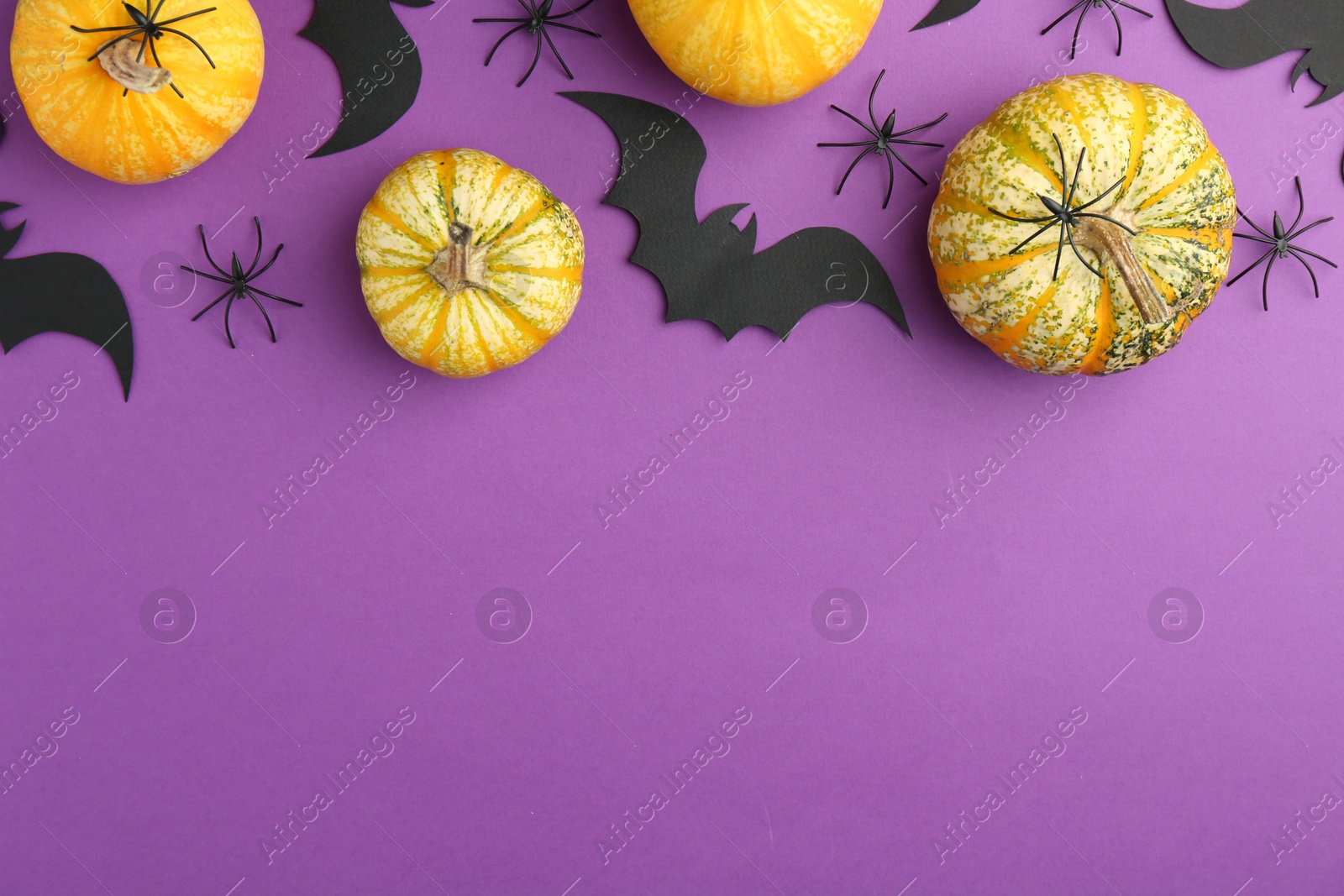 Photo of Flat lay composition with Halloween decor on purple background. Space for text