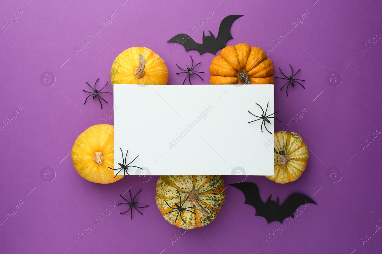 Photo of Flat lay composition with Halloween decor and blank card on purple background. Space for text