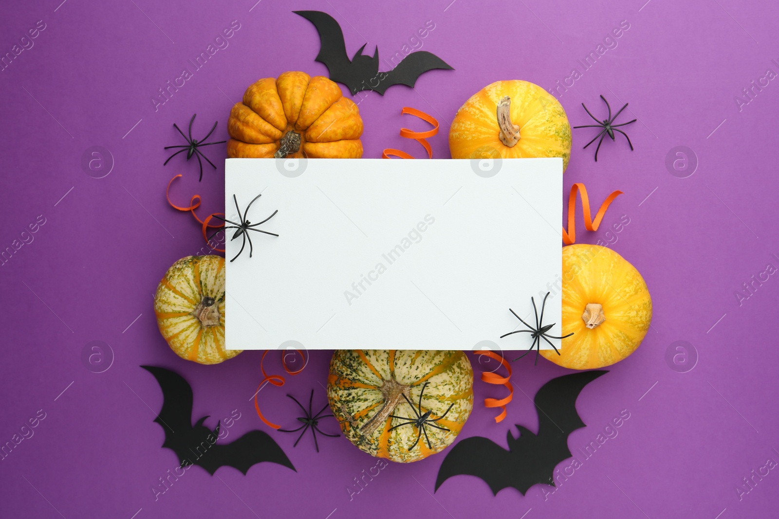 Photo of Flat lay composition with Halloween decor and blank card on purple background. Space for text