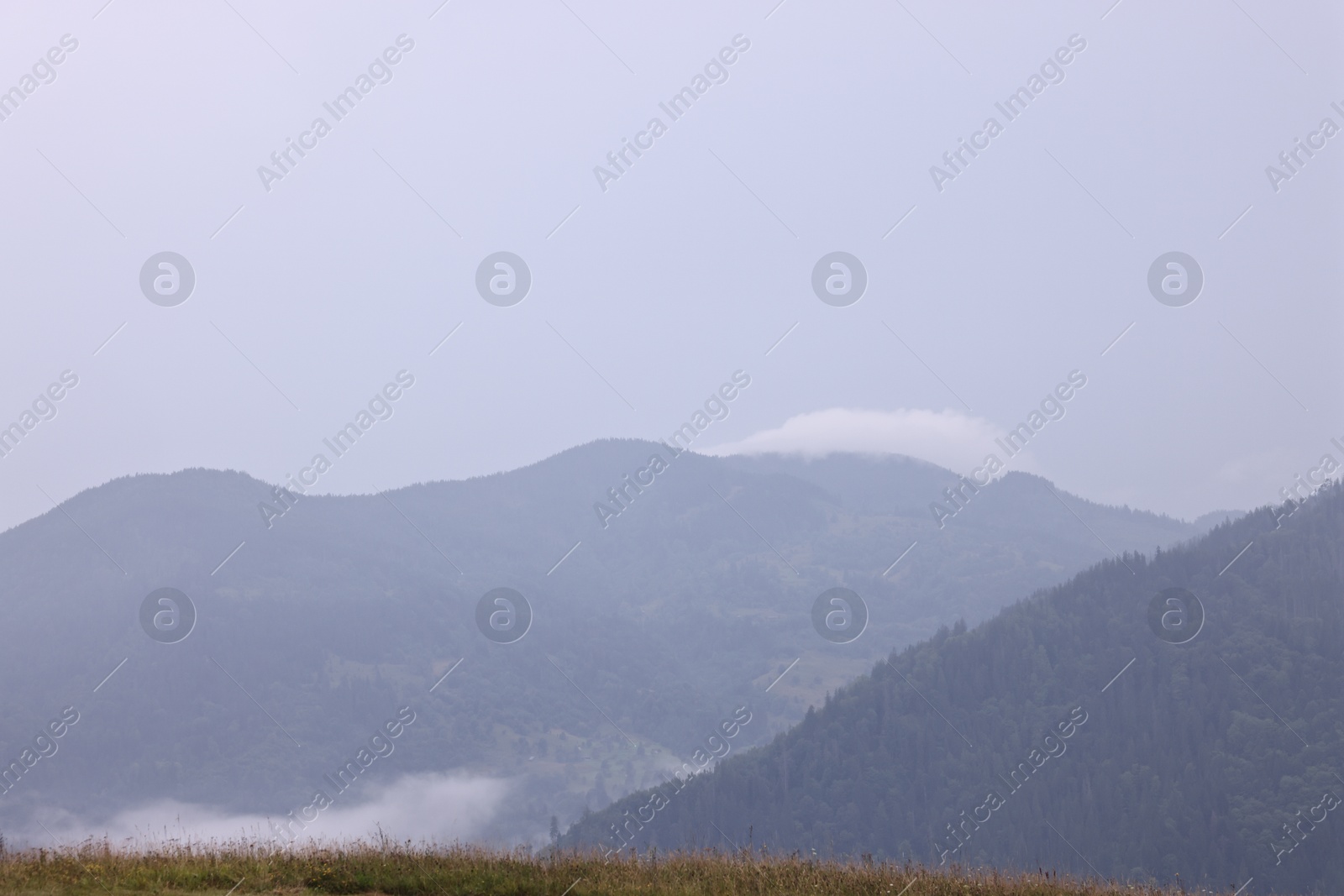 Photo of Picturesque view of beautiful mountains covered with fog