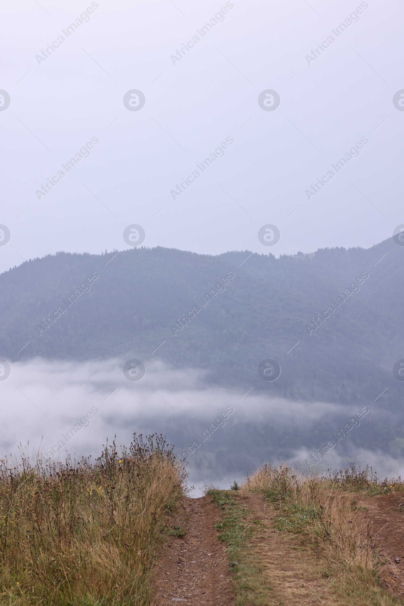 Photo of Picturesque view of beautiful mountains covered with fog