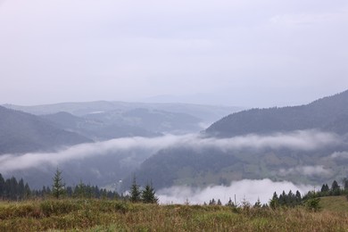 Picturesque view of beautiful mountains covered with fog