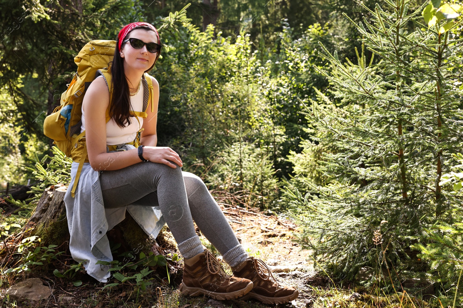 Photo of Young hiker sitting on tree stump in forest