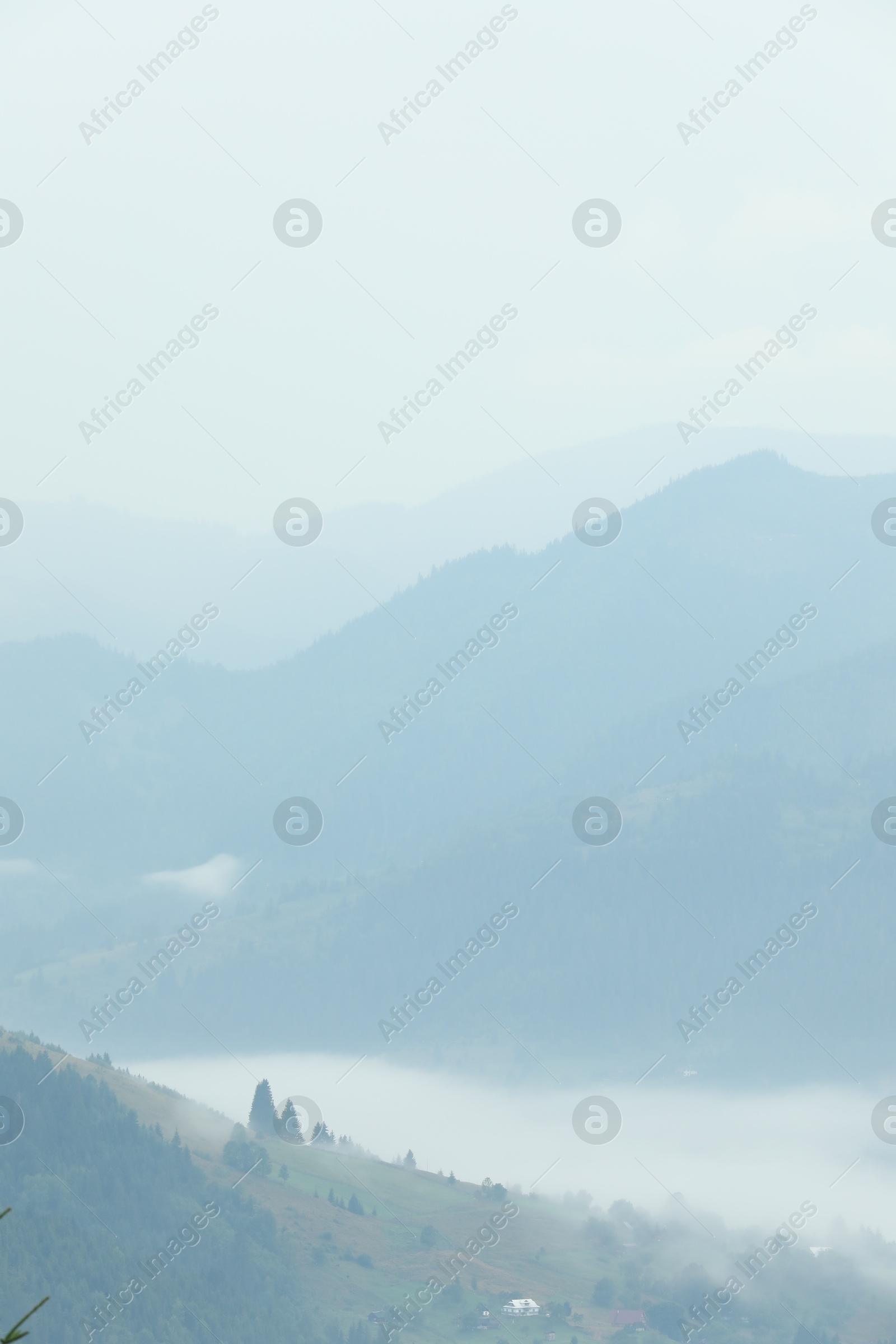 Photo of Picturesque view of beautiful mountains covered with fog