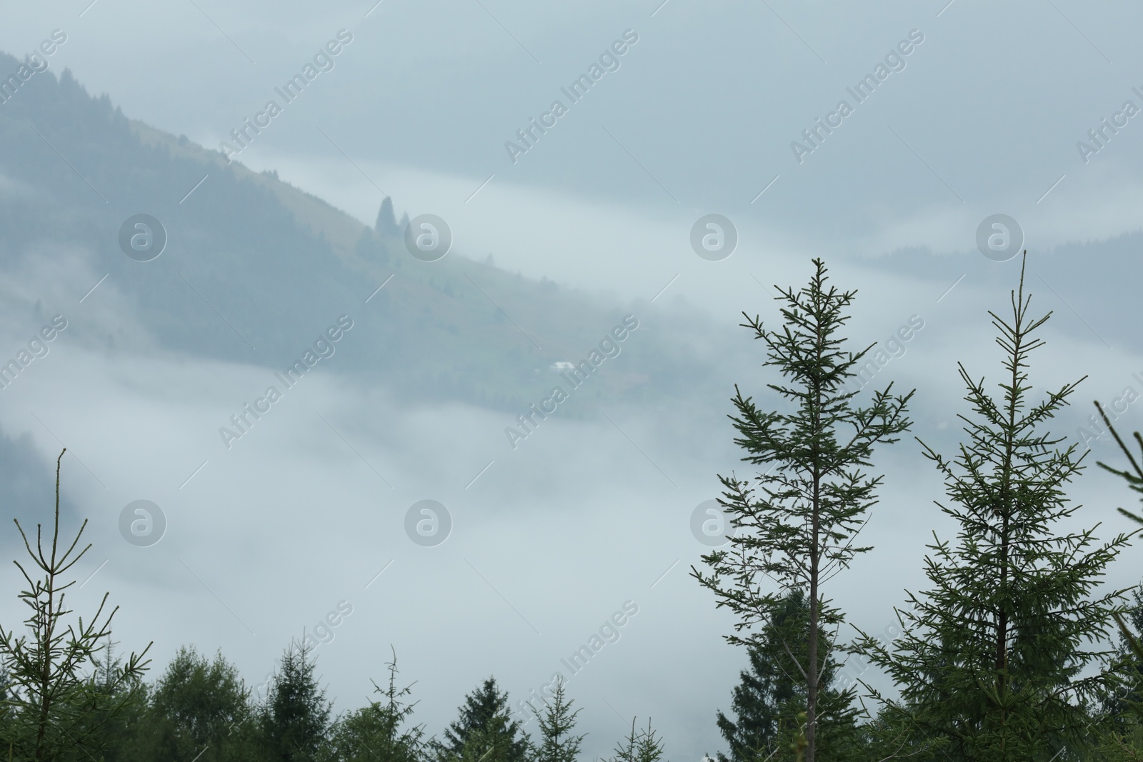 Photo of Picturesque view of beautiful mountains covered with fog