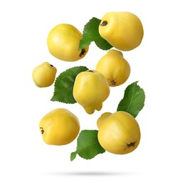 Image of Fresh quinces and green leaves falling on white background