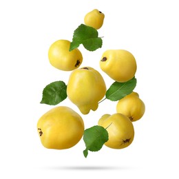 Image of Fresh quinces and green leaves falling on white background