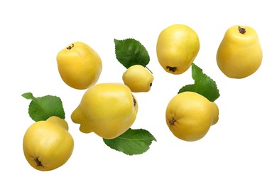 Image of Fresh quinces and green leaves in air on white background