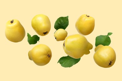 Image of Fresh quinces and green leaves in air on beige background