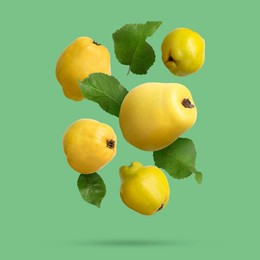 Image of Fresh quinces and leaves falling on light green background