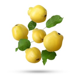 Image of Fresh quinces and green leaves falling on white background