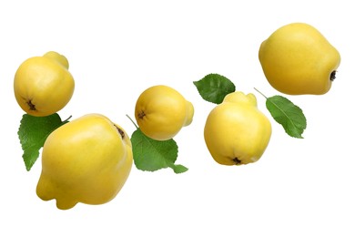 Image of Fresh quinces and green leaves flying on white background