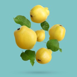 Image of Fresh quinces and green leaves falling on dark turquoise background