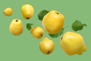 Image of Fresh quinces and leaves in air on light green background