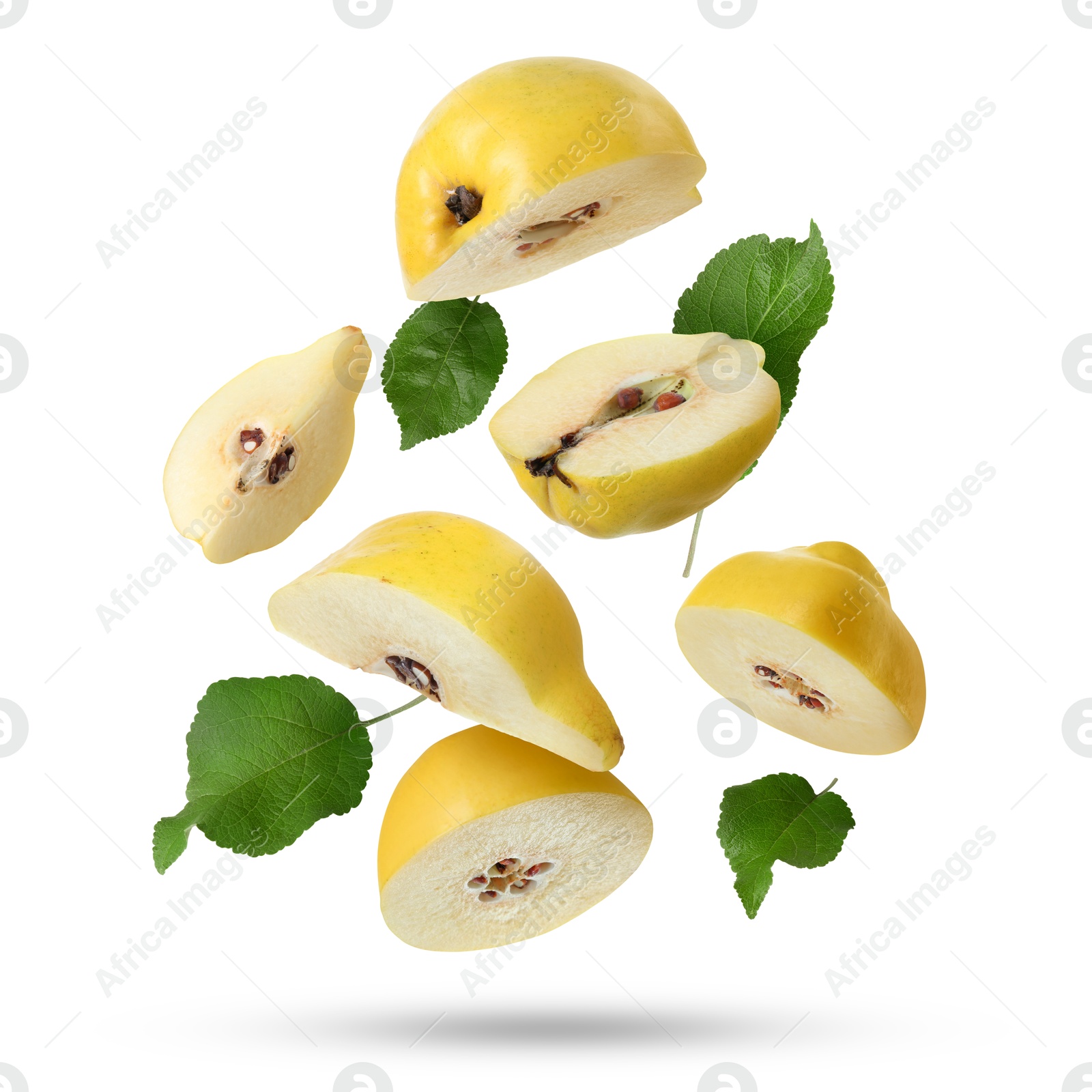 Image of Pieces of fresh quinces and green leaves falling on white background