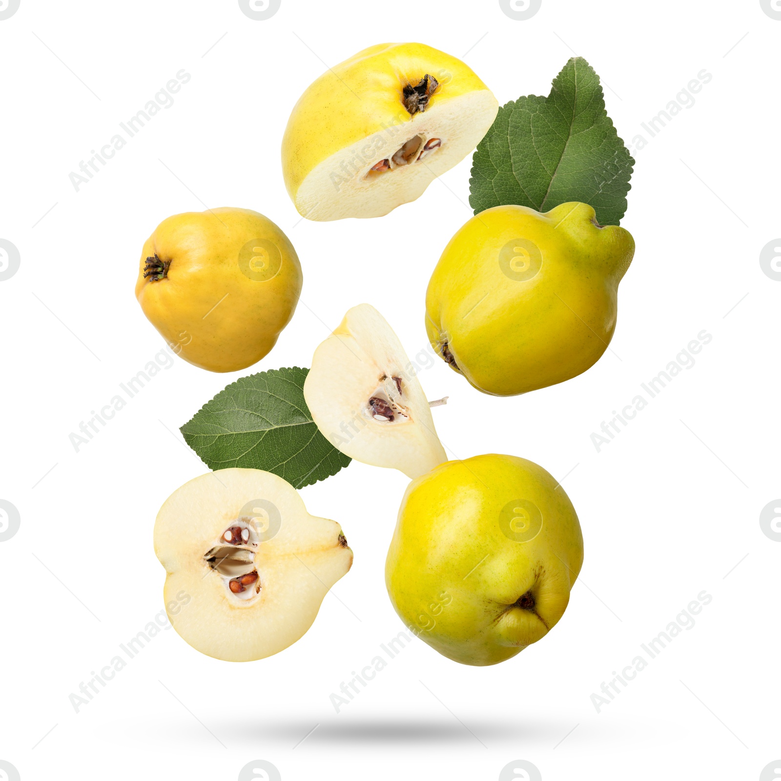 Image of Fresh quinces and green leaves falling on white background