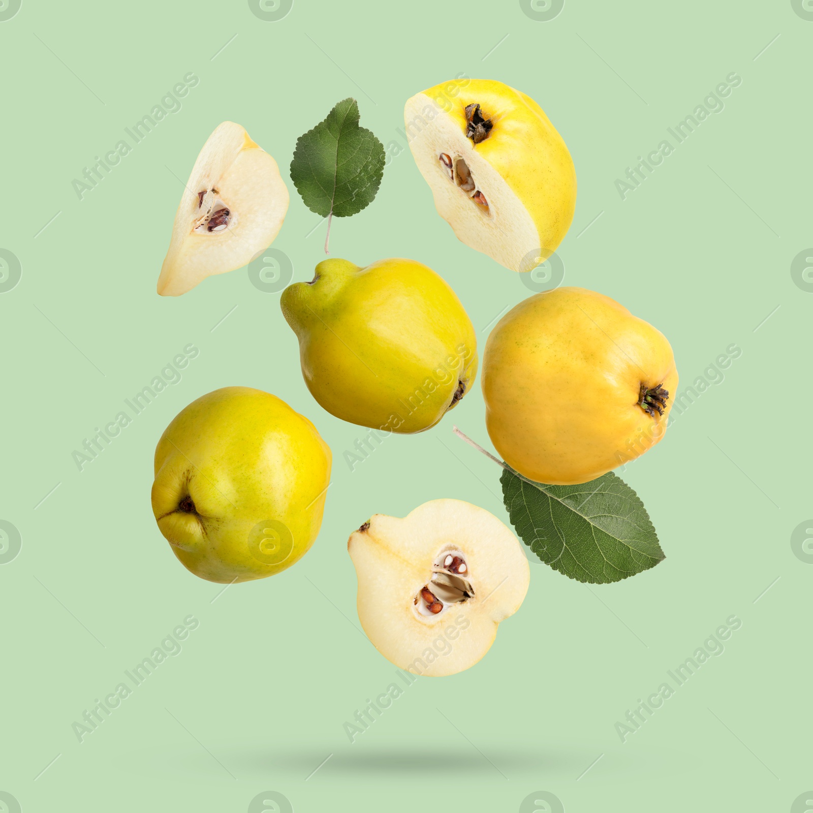 Image of Fresh quinces and leaves flying on light green background