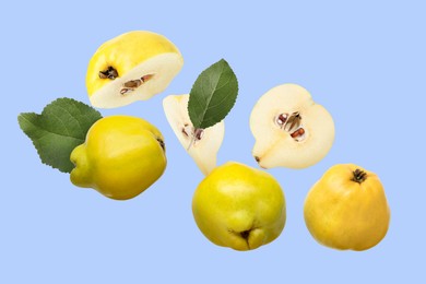 Image of Fresh quinces and green leaves flying on light blue background