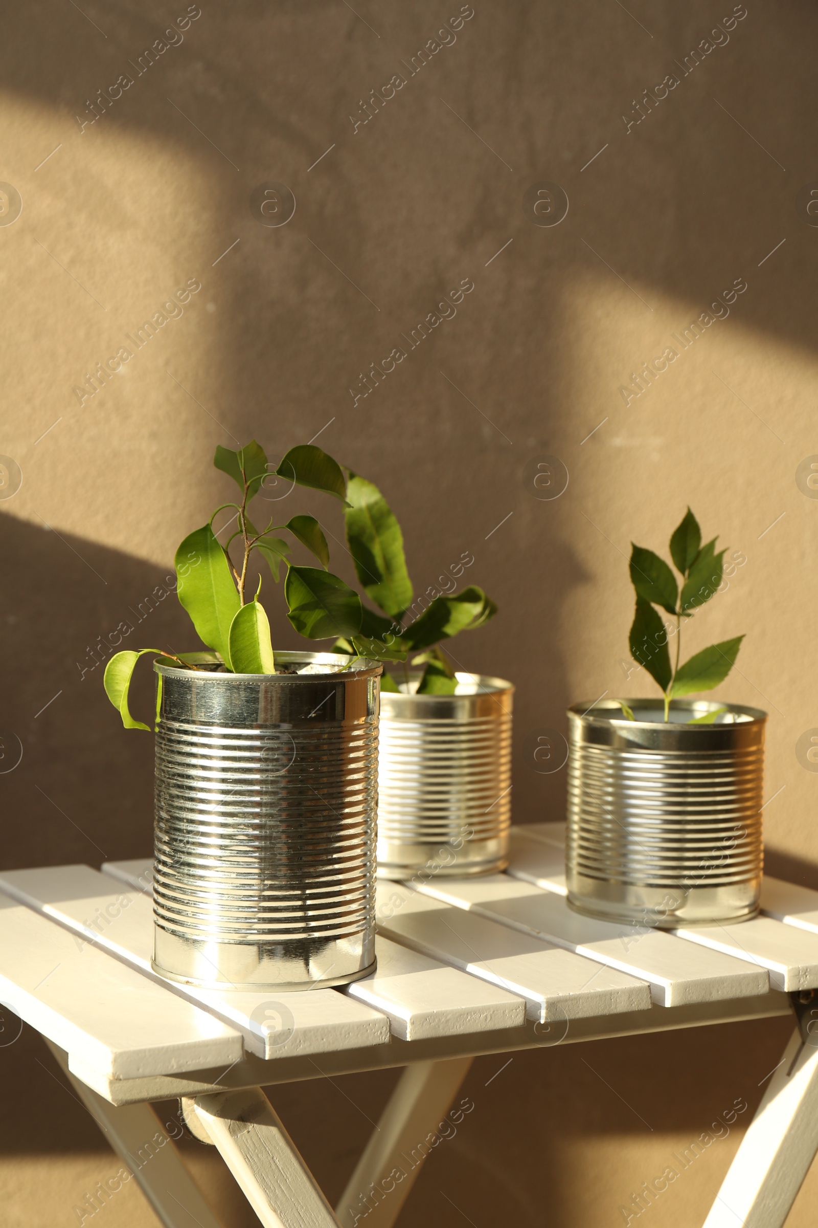 Photo of Recycling concept. Metal cans with plants on white wooden table