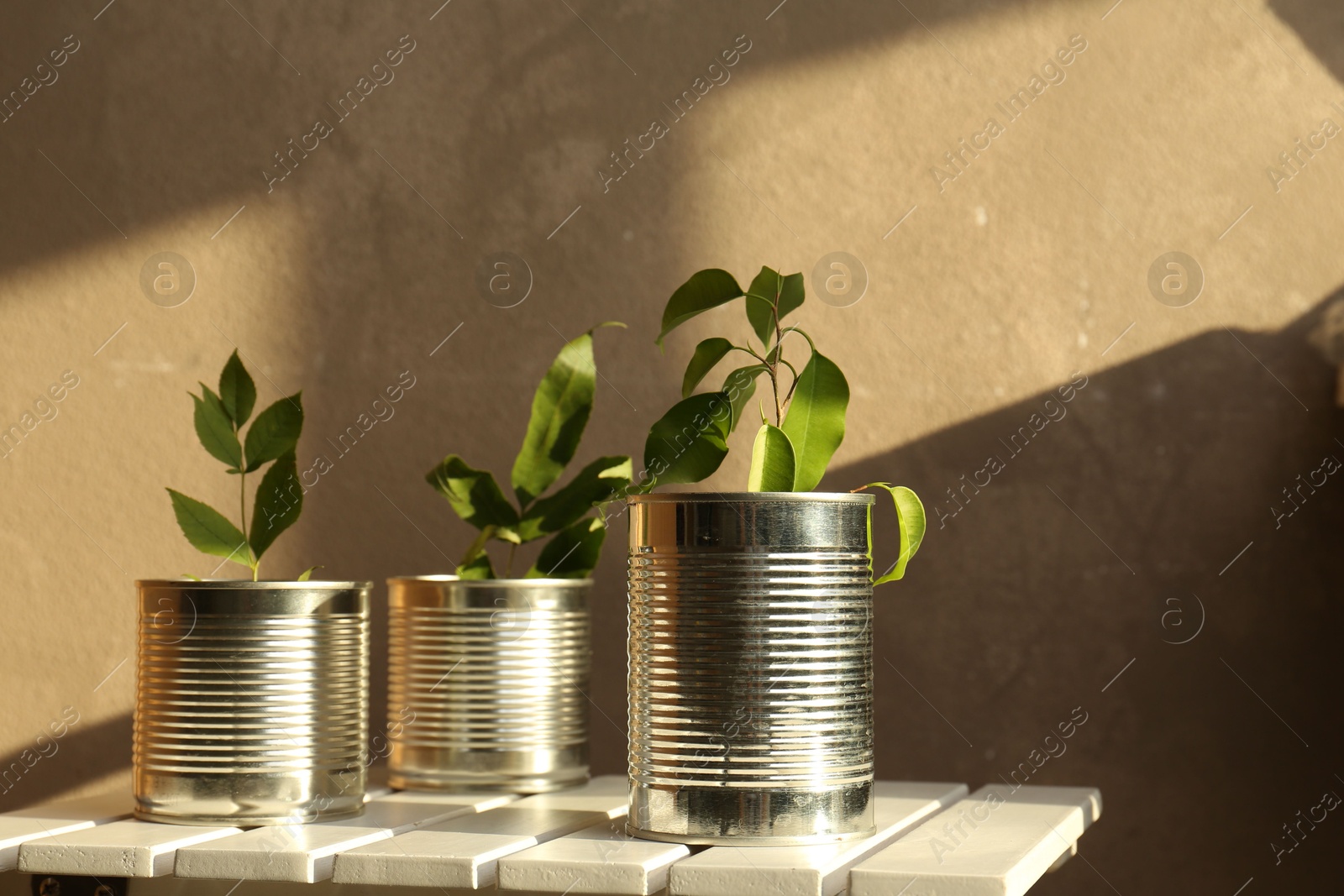 Photo of Recycling concept. Metal cans with plants on white wooden table