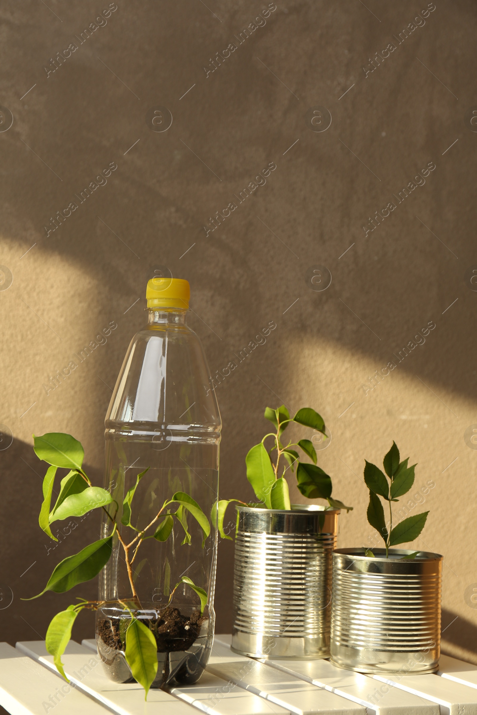 Photo of Recycling concept. Metal cans and plastic bottle with plants on white wooden table