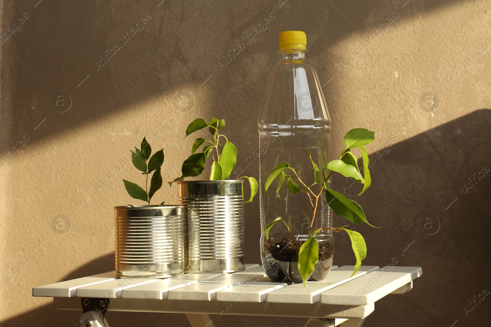 Photo of Recycling concept. Metal cans and plastic bottle with plants on white wooden table