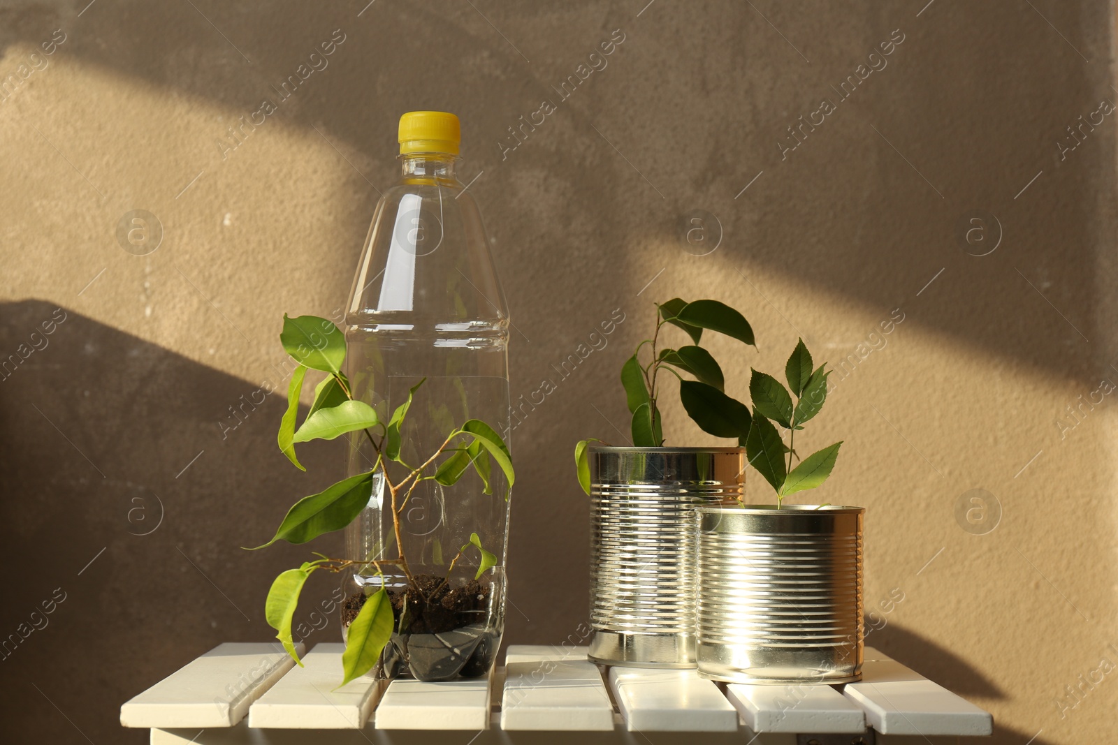 Photo of Recycling concept. Metal cans and plastic bottle with plants on white wooden table