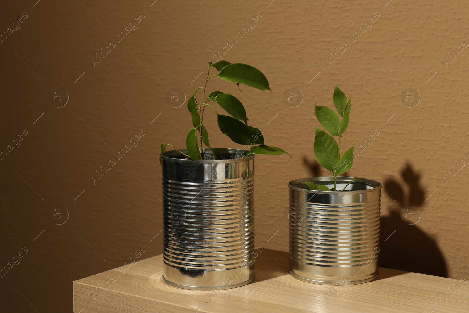 Photo of Recycling concept. Metal cans with plants on wooden table