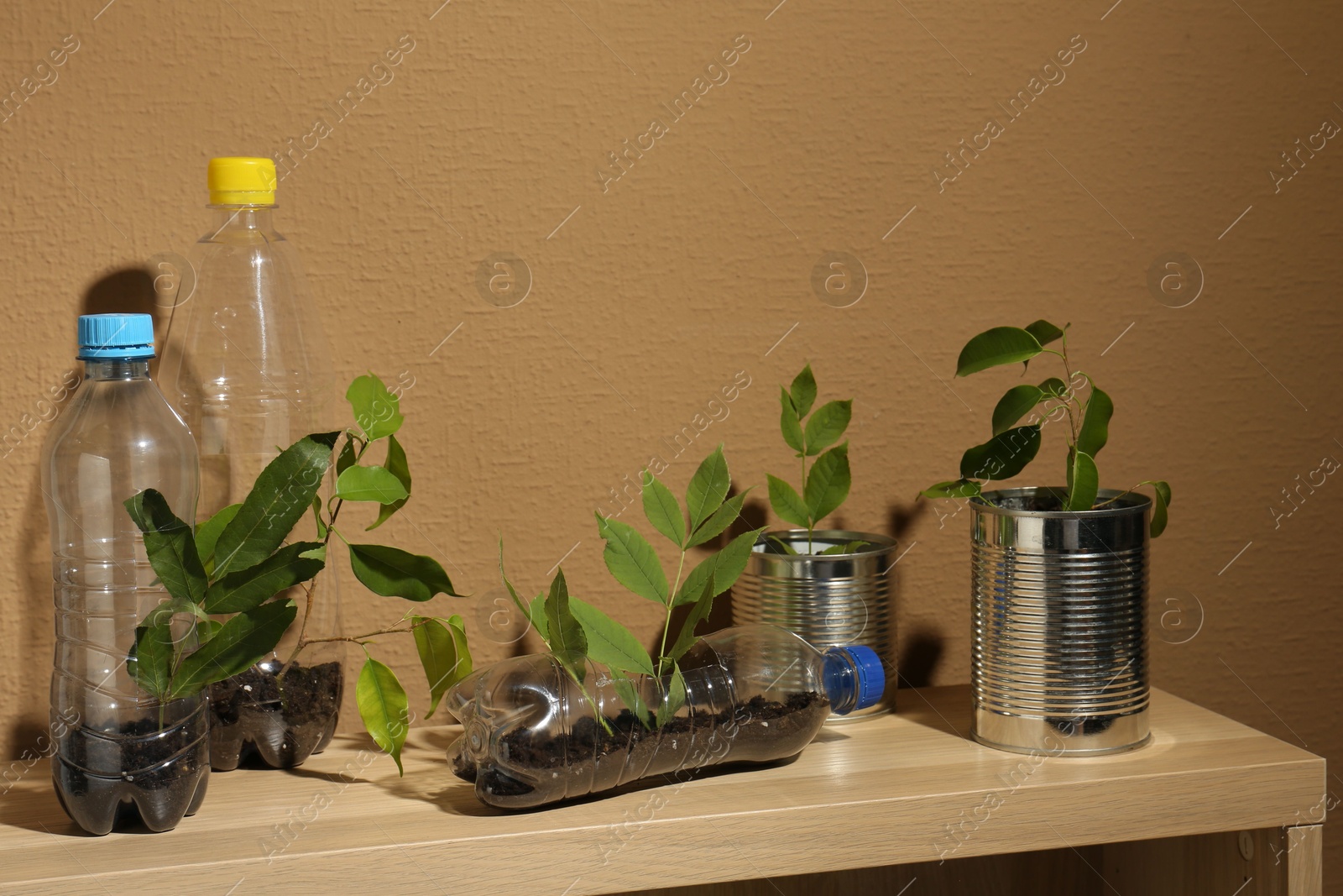 Photo of Recycling concept. Metal cans and plastic bottles with plants on wooden table