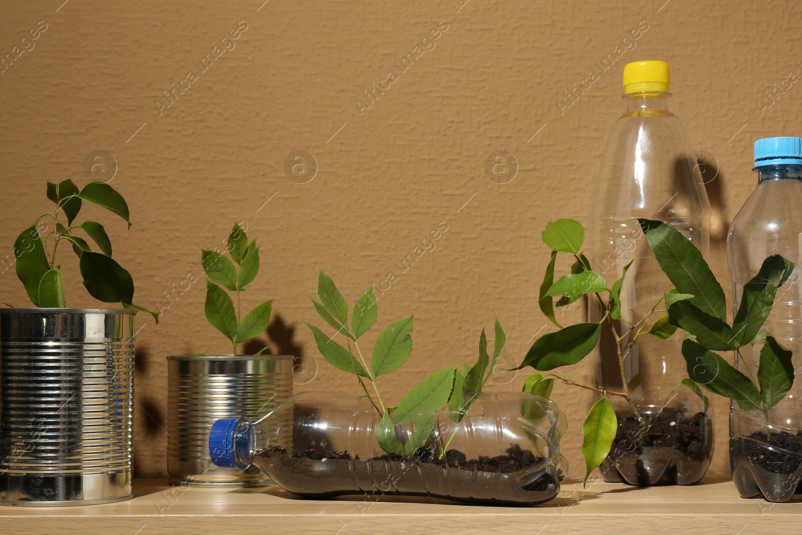 Photo of Recycling concept. Metal cans and plastic bottles with plants on wooden table