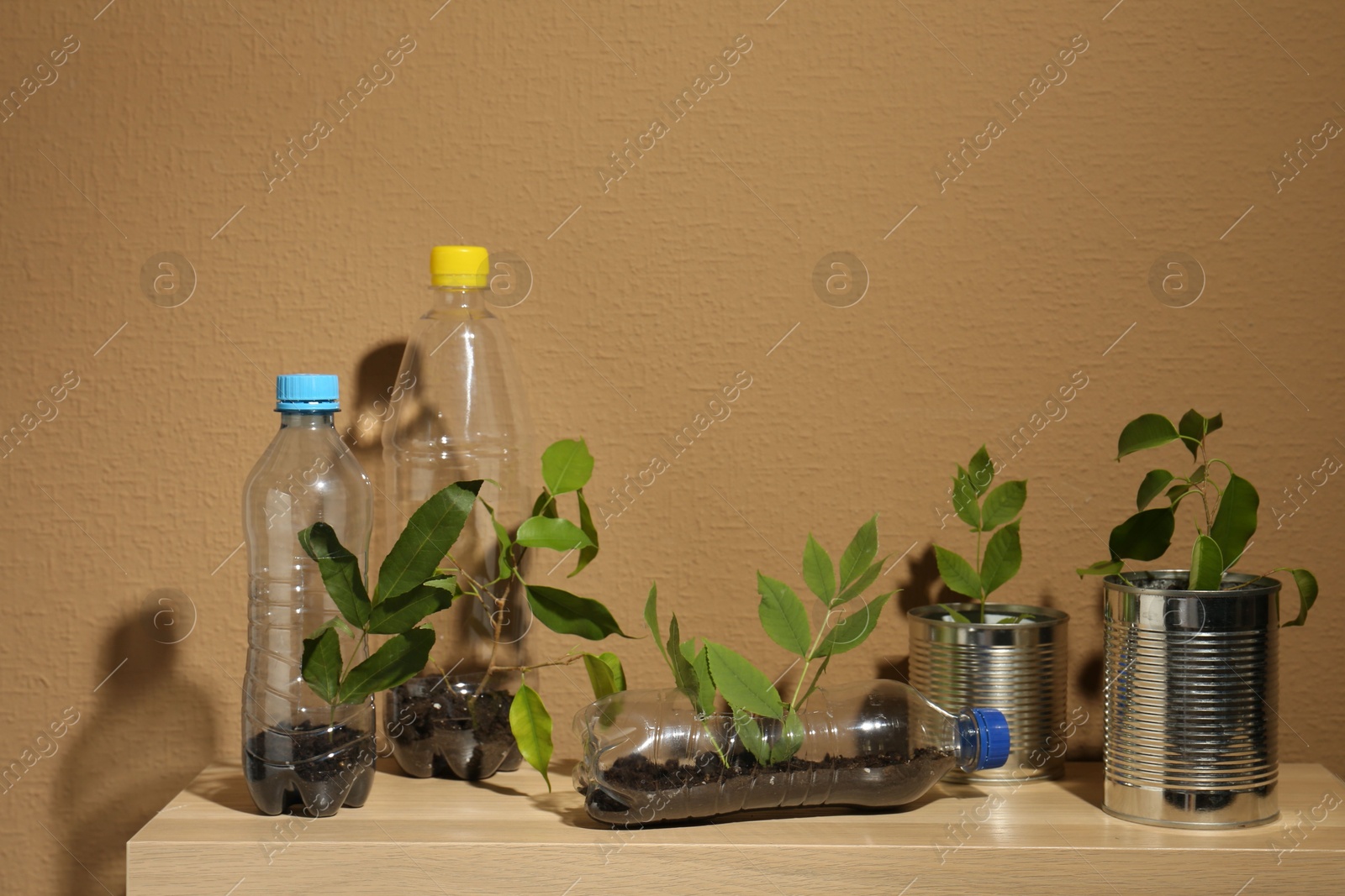 Photo of Recycling concept. Metal cans and plastic bottles with plants on wooden table