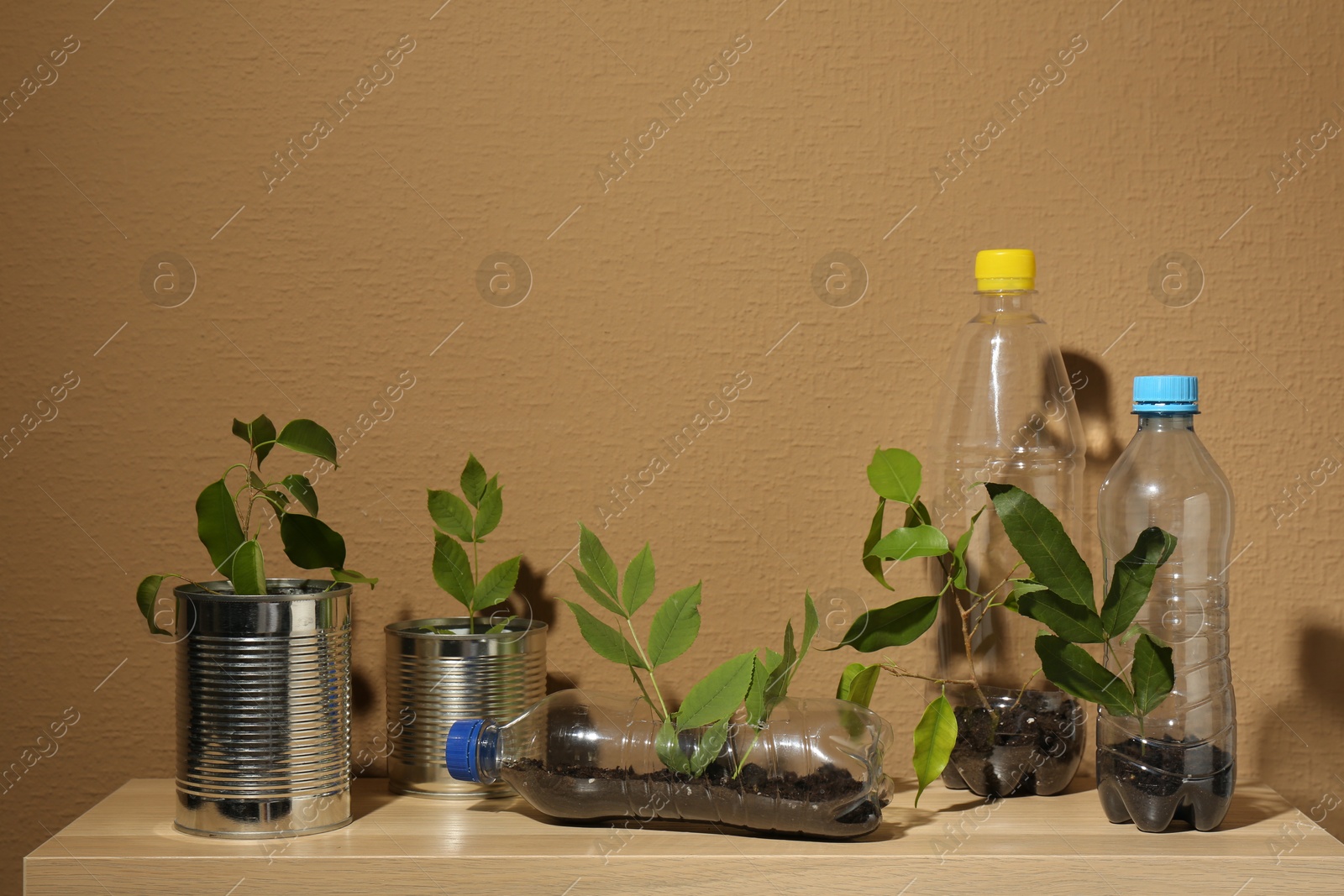 Photo of Recycling concept. Metal cans and plastic bottles with plants on wooden table