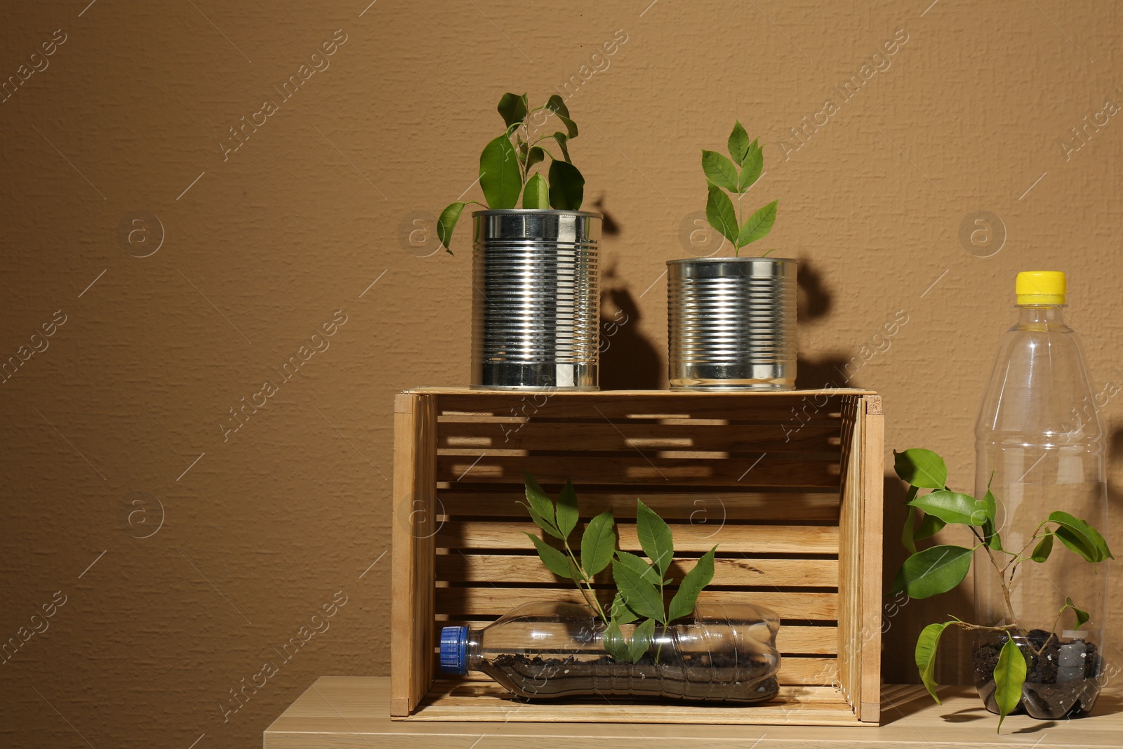 Photo of Recycling concept. Metal cans, plastic bottles and crate with plants on wooden table, space for text