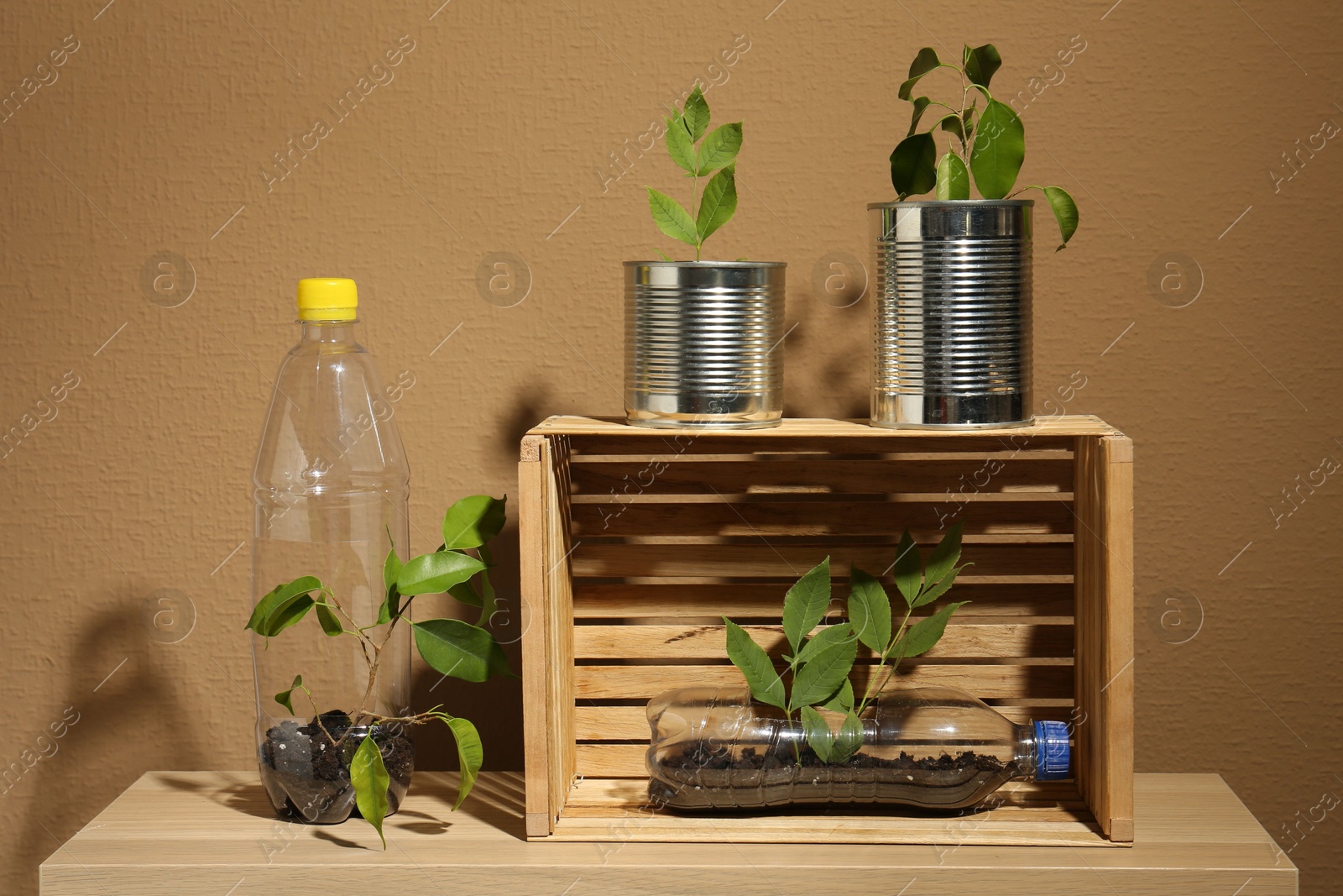 Photo of Recycling concept. Metal cans, plastic bottles and crate with plants on wooden table