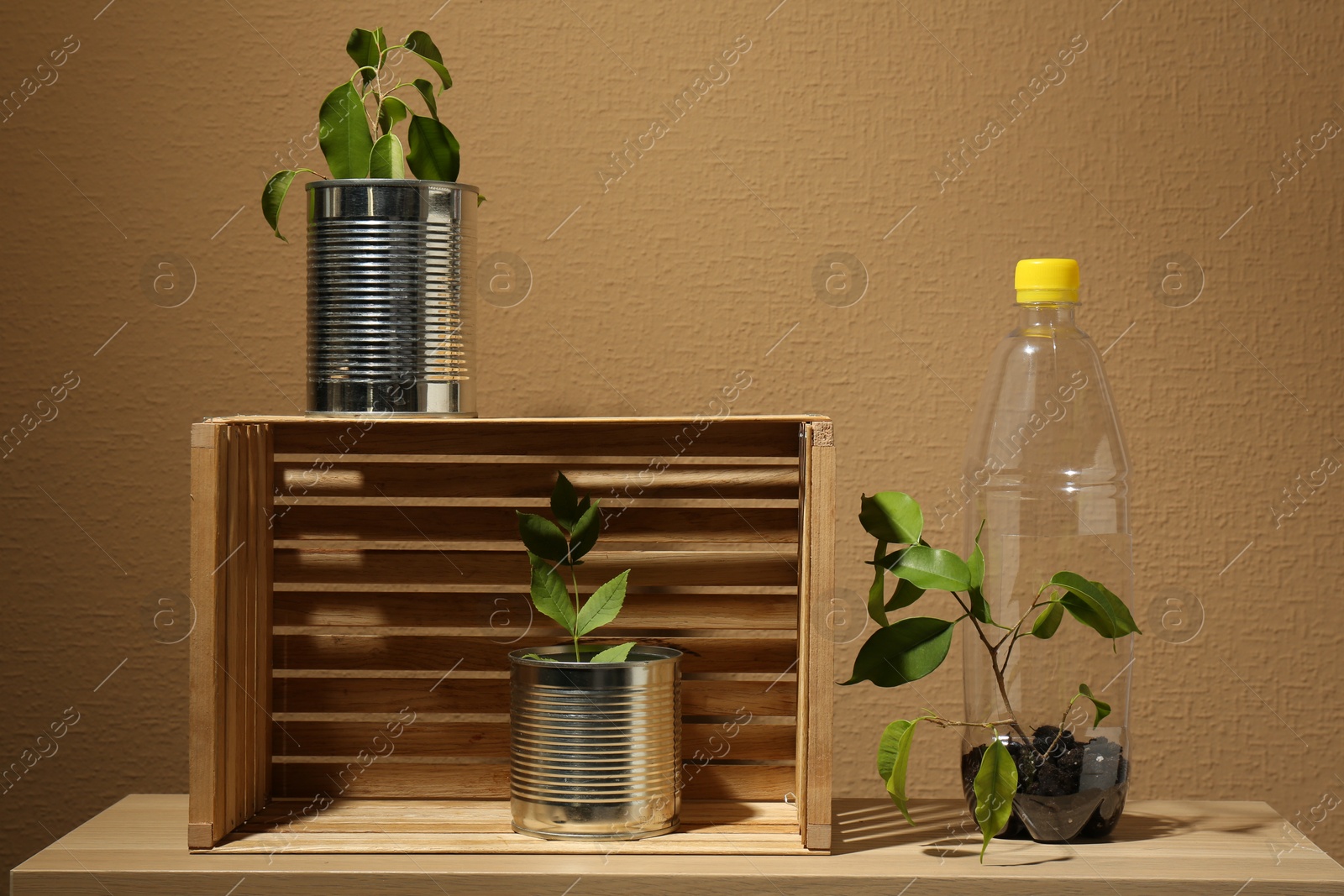 Photo of Recycling concept. Metal cans, plastic bottle and crate with plants on wooden table