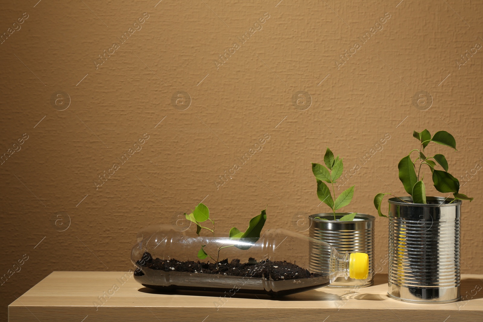 Photo of Recycling concept. Metal cans and plastic bottle with plants on wooden table, space for text