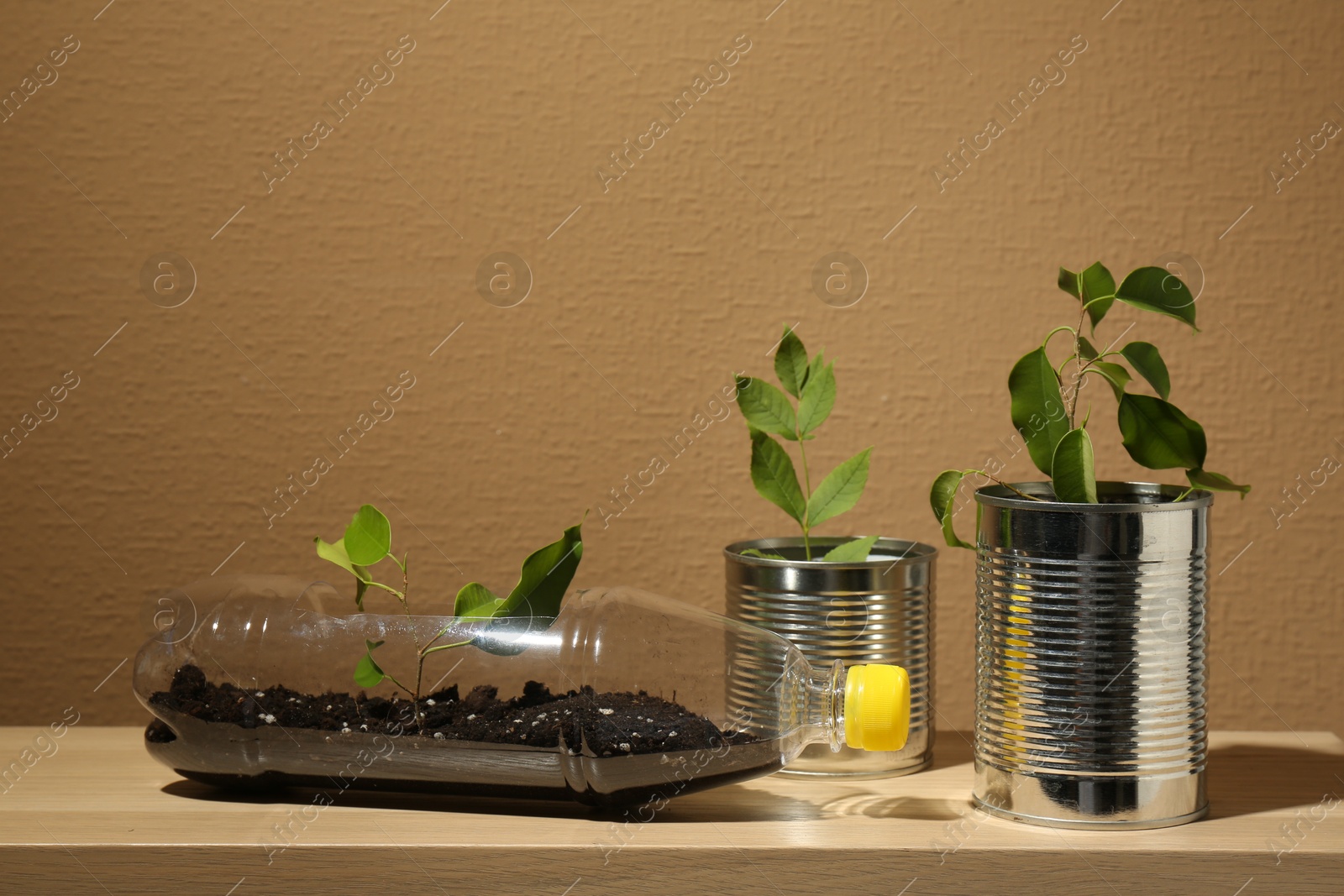 Photo of Recycling concept. Metal cans and plastic bottle with plants on wooden table, space for text