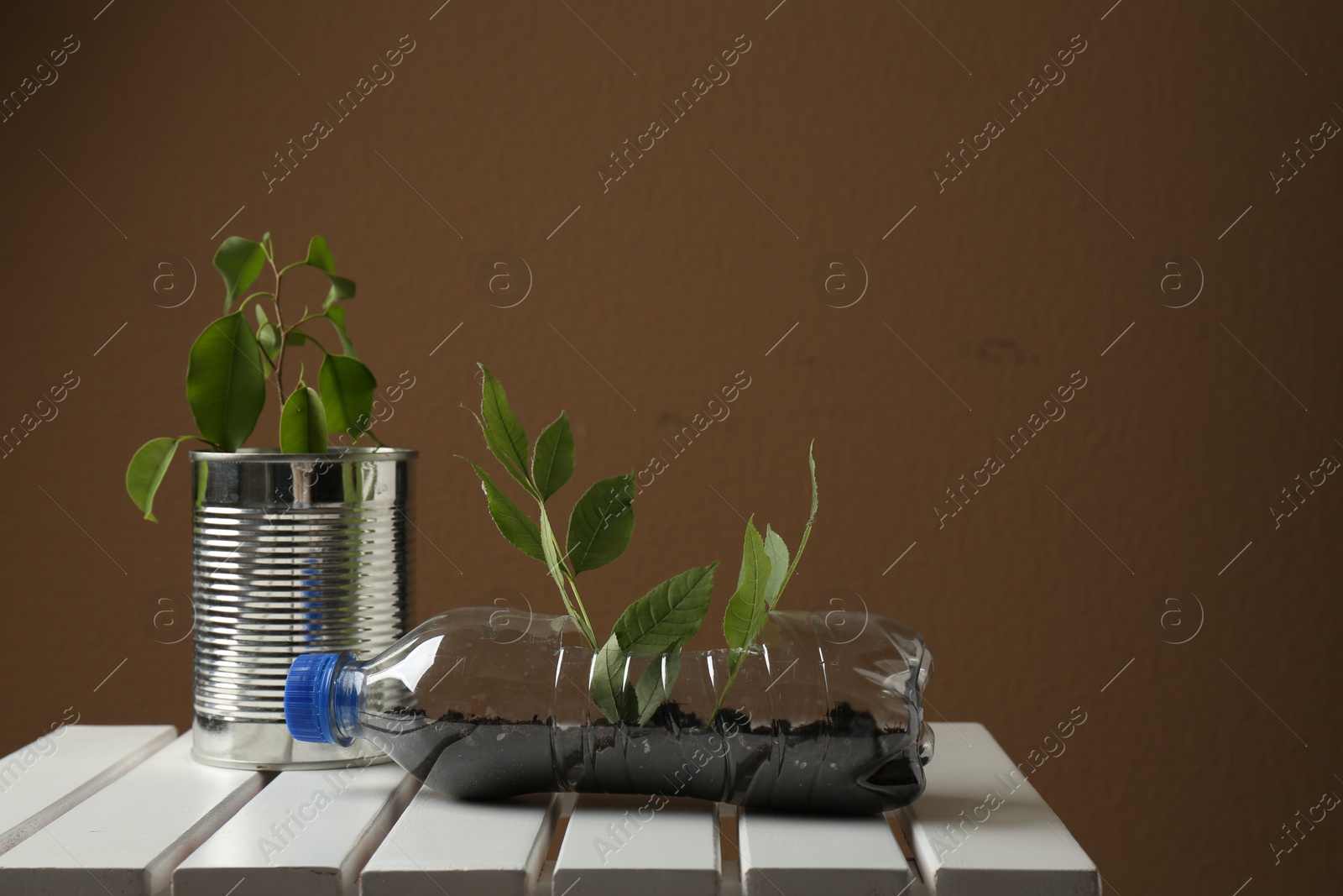 Photo of Recycling concept. Metal can and plastic bottle with plants on white wooden table, space for text