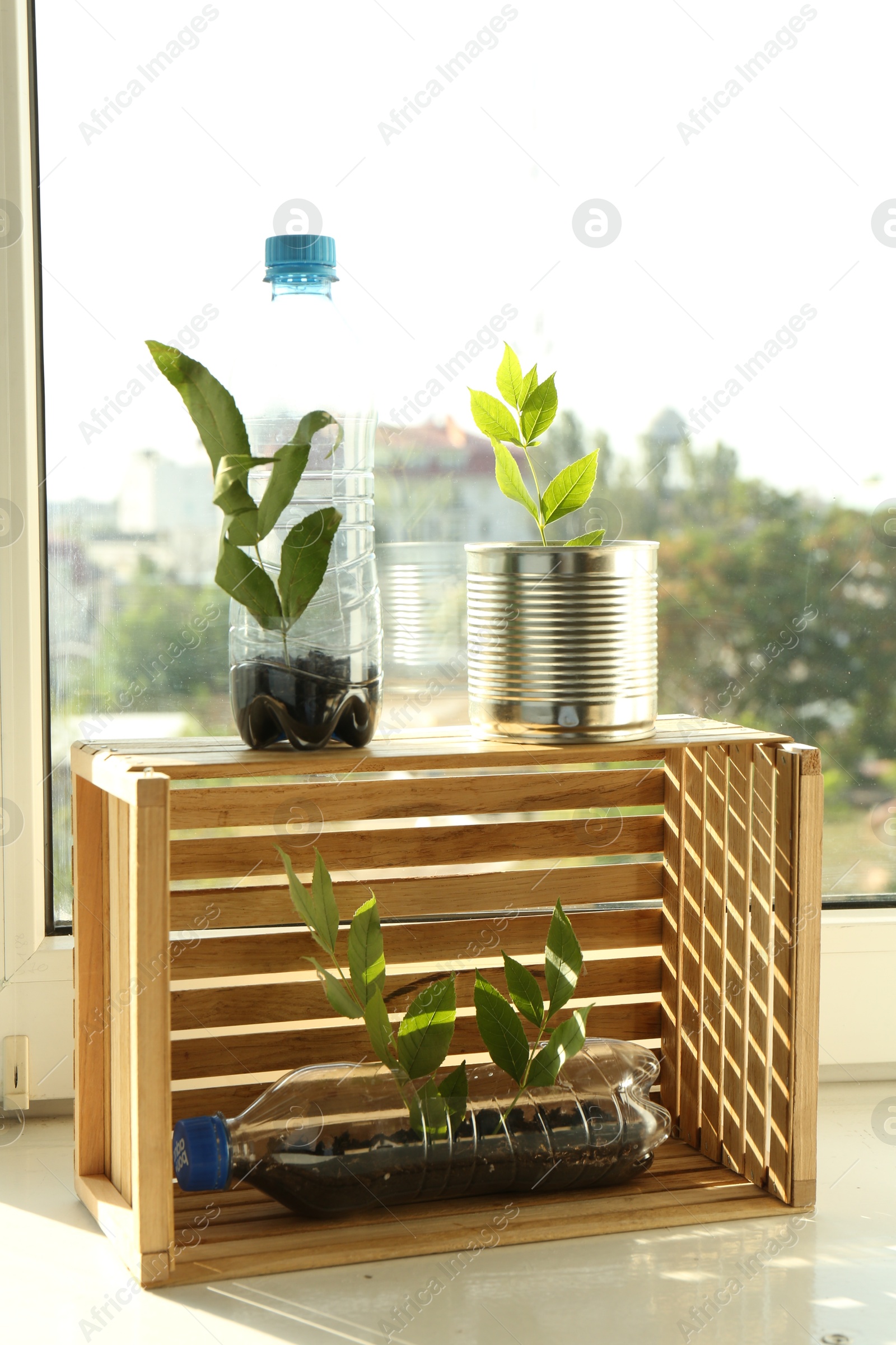 Photo of Recycling concept. Metal can, plastic bottles and wooden crate with plants on windowsill